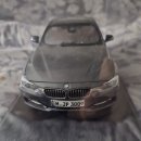 1/18 파라곤 bmw 335i 하자품 팝니다 이미지