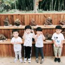 남제주별어린이집 이미지