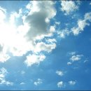 푸르른날 이미지