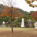 수원-0100 Daum카페