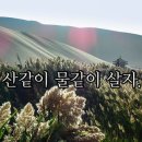 참사랑떡방앗간