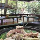 그늘막86 이미지