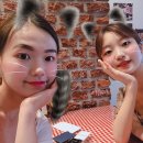 로터프컴퍼니