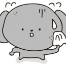 참치&생연어 이미지
