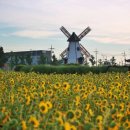 대부도해양본부 이미지