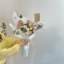 플랑떼플레르
