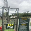 강아지놀이터 티스토리