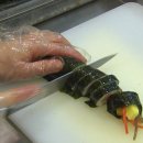 서초김밥 - 세종특별자치시 다정중앙로 45 | 서초김밥