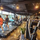 청년헬스 이미지