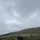 샛별목장 | 아기랑 새별오름 후기｜아기띠로 다녀온 제주 오름 현실 코스