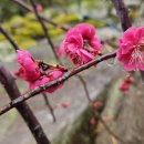 봄:정원 - 달성군 테크노중앙대로 326-34 | 봄:정원