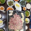 정아호프 이미지