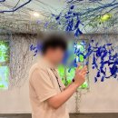 성북2리 | [미술관] 폐교를 미술관으로 바꾸다 “아미미술관” 데이트 후기💟 [당진]