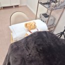 춘천속눈썹펌 유목민들 &#39;더나인뷰티 자연눈썹&amp;남자눈썹&amp;여자눈썹&#39;에 정착하세요