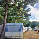 소나무4호 태양광발전소 | [대부도 바닷가 카라반 캠핑장 임대] 카라반 18대 연매출 2억 수영장 갖춘 바다인접 수익형 캠핑장 (73...