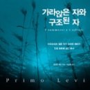 콩세알미디어