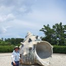 중문대포주상절리대 이미지