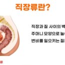 순백의원 이미지