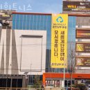 윌 휘트니스 이미지