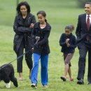 강아지 대통령 이미지