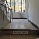 수다공주 | 대전 브라이덜샤워 중앙로역 몰또 파티룸 공주파티 후기