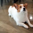 이레세차장 이미지