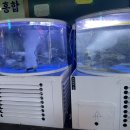 삼덕회포차 네이버블로그