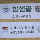 참샘골농원 Daum카페