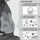 남녀 뱃살 빼기 여태껏 반대로… 男 밥 덜먹고, 女 복근운동해야 이미지