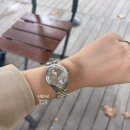 비비안웨스트우드 리틀 캠버웰 시계 후기 착샷 29mm VV311SLSG