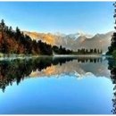 행정사이태기사무소 이미지