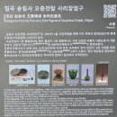 중창국제 | 칠곡 송림사 1300년의 세월 오층전탑을 만나다