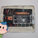 동성전업사