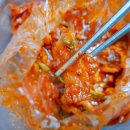 홍치맥