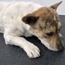 도곡2리경로당 이미지