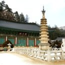 불설장수멸죄호제동자다라니경 이미지