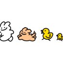 맘스바디업 이미지