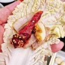 세븐일레븐 광주수완원룸점 | 광주 수완지구 고향 보쌈 칼국수 장덕동 맛집