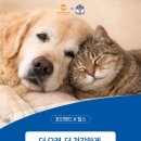 네눈에반하다