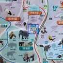 코뿔소 음식점 네이버블로그