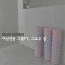 여성헬스자유공간 | 하남시청역 여성전용 그룹PT , 그로우걸 I 시간표 없이 자유롭게 운동하는 곳 후기