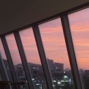 소피에르