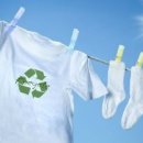 필라테스 귤 이미지