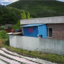 상라리 이미지