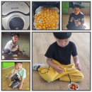용인대일출태권도장