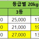 감자 가격(공판장 낙찰가) 이미지