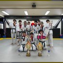 한국체대하나태권도장 이미지