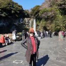 천지연 폭포 이미지