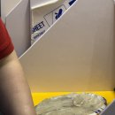 삼척대왕횟집 | 삼척 회맛집 추천! 삼척 중앙시장 회포장 맛집 삼척대왕횟집 후기