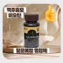 건강두피모발관리 | 탈모? 맥주효모 비오틴 판토텐산으로 자신감 UP! 모발 건강 관리! 영양제 섭취후기